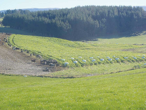 DairyNZ表示，它将完成冬季放牧和淡水农场计划磋商的提交。