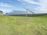 塔拉纳基农场为一项研究设置了太阳能电池板。